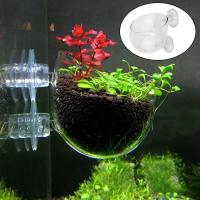 Vaso De Cristal Para Acuario Con Aspiradores Para Cultivar Semillas De Plantas Acuáticas Y Coral Adorno Para Tanque De Peces - details 1
