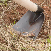 Aguja Duradera Para Labrar Tierra Herramienta Agrícola Para Cultivar Verduras Y Flores Uso Doméstico Y En Granjas Al Aire Libre - details 0