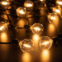 Luces De Cadena LED G40 De Plástico E12 110V US 220V EU Impermeables Y Resistentes Al Choque Para Decoración De Jardín Exterior - details 14