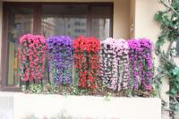1 Pieza De Hierba Artificial De Enredadera Morada Para Exterior Patio Jardín Porche Decoración De Bodas Y Hogar Material Seda - details 1
