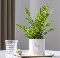 Hojas Dearenal Artificiales 33-48cm Para Decoración De Oficinas Y Hogares Accesorios Para Paredes De Plantas Persa Material De Plástico Para DIY - details 2