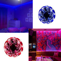 1PC Cinta LED RGB 5V Con Control Remoto De 24 Teclas Banda De Luz De Batería 2835 LED Para Decoración De Habitación Y Sala De Juegos - details 3