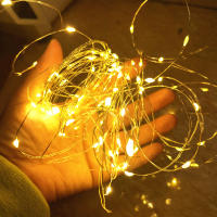 Luces De Cadena LED USB 5M De Hilo Plateado Garland Impermeable Para Decoración De Fiesta Navidad Boda Y Vacaciones - details 1
