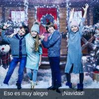 Luces De Cadena De Navidad 500/1000LED Impermeables Con Control Remoto Para Árbol Calle Bodas Y Fiestas Decoración De Pared Y Jardín - details 9