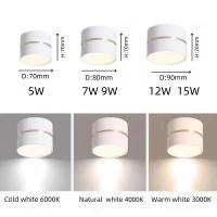 Lámparas De Techo LED Surface-mounted 9W/12W/15W Para Sala Dormitorio Pasillo Porche Iluminación Para Pasillo AC110V 220V - details 6