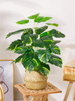 Planta Artificial De Monstera Grande 75cm Con 24 Hojas Falsas Plásticas Para Oficina Jardín Hojas Tropicales Verdes Para Decoración De Sala De Estar Y Fiesta Hawaiiana - details 5