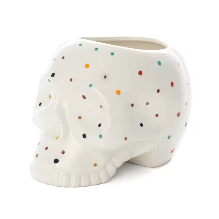 Fisura - Macetero original con forma de calavera. Macetero decorativo interior. Macetero para cactus. 12 cm de diámetro. Dimensiones: 15 x 19 x 14 cm. - 1