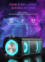 Altavoz Portátil Con Luz LED RGB Y Bluetooth 5.0 EBS-045 Micrófono Integrado Soporte De Tarjeta TF Reproductor De Música Inalámbrico - details 4