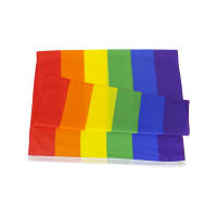 Bandera Arcoíris De Orgullo LGTB 90x150CM Decoración De Polyester Impresión Para Fiesta Y Uso Doméstico - details 2