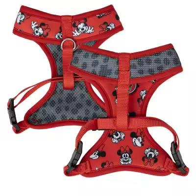 ARNÉS PREMIUM PARA PERROS XS/S MINNIE - 1