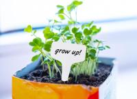 Plant Labels and Pen for Outdoor Plants, 100Pcs Plant Markers & Labels Plastic White Garden Plant Tags for Seed, Herb, 6x10cm, T-Type - details 2