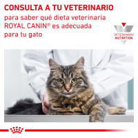 Royal Canin Veterinary Feline Renal Special - details 7