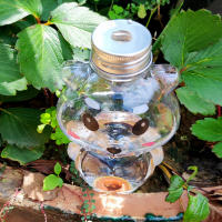 Sistema De Riego Automático Para Plantas En Maceta 500ML Oso Encantador Herramienta De Riego Para Interior Jardín Hogar - details 2