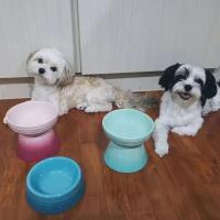 Tazón De Alimentos Para Mascotas Extra Ancho Anti Derrames Elevado Alivio Del Estrés De Pecho Para Gatos Y Perros Cerámica - details 2