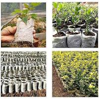 100pcs 12x13cm Biodegradable Woven Plant Bags Fabr Plant Pots for Planting - details 2