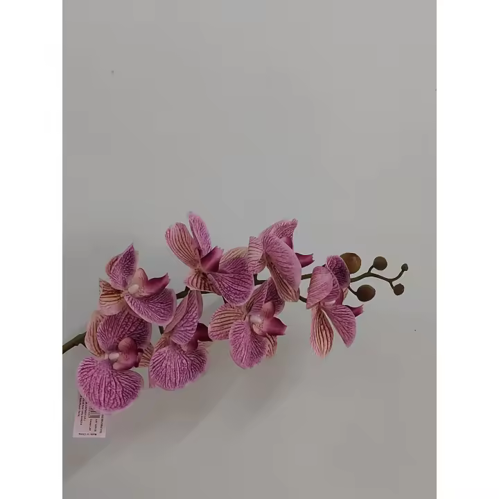 Phalaenopsis Natural Touch 87cm Lavanda - 1