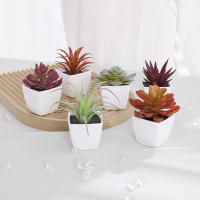 1SET(6PCS) Succulentas Simulación Pequeñas En Macetas Para Decoración De Hogar Balcón Baño Estantería Jardín Mini Realistas 22449ZH6 - details 5