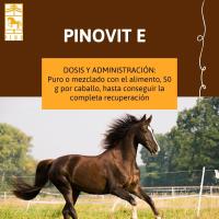 PINOVIT E, recuperación nutricional en patologías musculares de Laboratorios Pino. 18x50gr - details 1