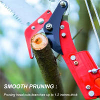 Tijeras De Podar Alta Altura Extensibles Para Ramas Y Recogida De Frutas Herramienta De Podar Con Tres Pulleys En Metal SK5 Para Jardín - details 4