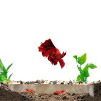 Cueva De Plástico Para Acuario Refugio Pequeño Para Tanque De Peces Decoración Para Aquicultura Protector De Camarones Suministros Para Mascotas - details 3