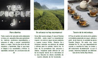 Slim Tea Morning Boost CAMINO DE CABRAS - Te Detox Adelgazante Potente - Drenante - Te Verde, Moringa, Diente de Leon - 100g - details 2