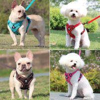 Juego De Correa Y Enjambre Para Gato Prueba De Fuga Ajustable Y Respirable Para Pequeños Y Medianos Perros Y Gatos Con Cuerda De Pecho Para Gatos Chicos - details 3