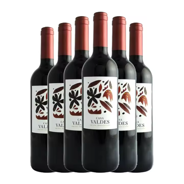 Vino tinto Casa Valdés 75 cl x 6 botellas. Total 4.5 litros - 1