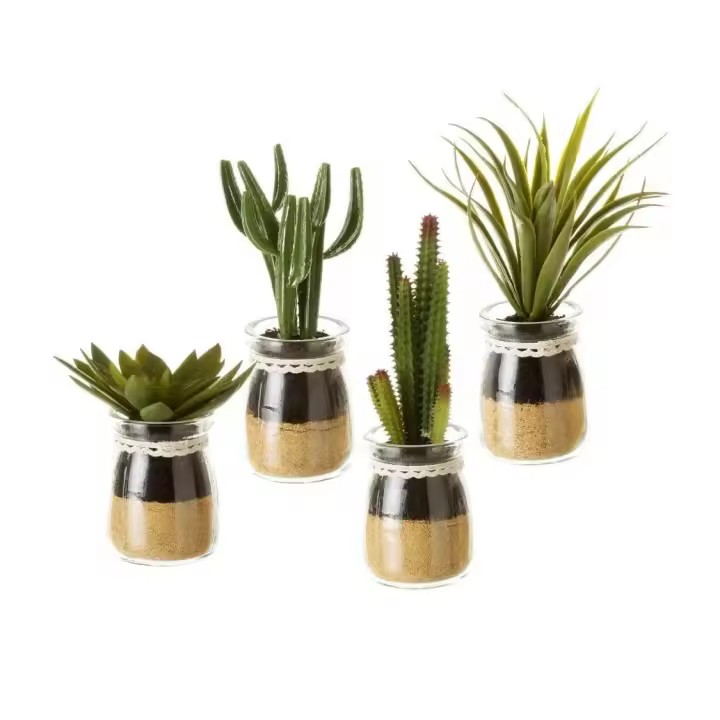 Dcasa Set de 4 plantas artificiales de cactus con maceta de cristal de Ø 5x18 cm - 1
