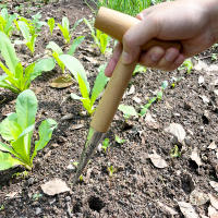 Dibber De Jardín Con Manija T Para Dispensador De Semillas Herramienta De Plantación Para Pequeñas Semillas - details 5