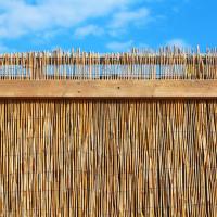 Maxia Market - Valla Natural Cañizo de Bambú Pelado para Jardín: Privacidad y Cerramiento Natural, Fácil Instalación y Resistente a la Intemperie - details 1
