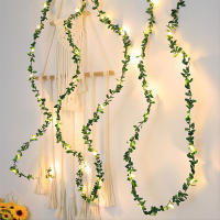 Cadena De Luces LED Verdes De Hierro Cuero Para Decoración De Boda Y Fiestas Cadena De Luces De Simulación De Guirnalda Con Flashing - details 0