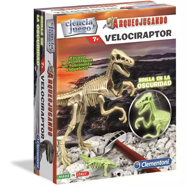 Clementoni - Arqueojugando Velociraptor fosforescente - juego científico para excavar y montar dinosaurios a partirde 7 años (55352) Referencia: 55352 - 1