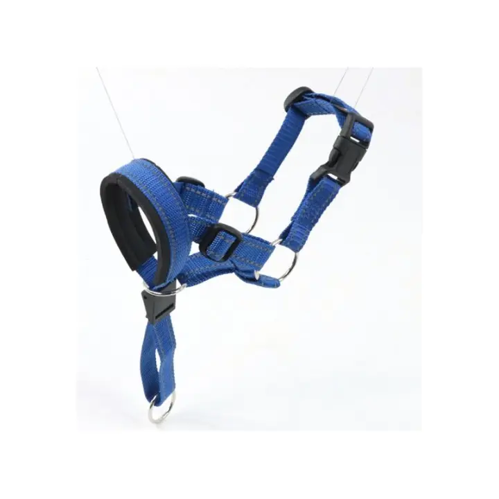Hocico Colchado para Perros Medianos Talla 3 Azul - 1