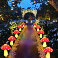 Luces De Hongo Solar Para Jardín Decoración Exterior Impermeable Con 8 Modos Luces Nocturnas Para Camino Paisaje Jardín Navidad - details 11