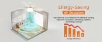 Socket Fan Light