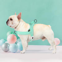 Harnés Suave Para Perro Sin Arrastre De Nylon Ajustable Para Pequeños Medianos Y Grandes Incluye Chihuahua Pug Harnés De Mascota Con Colchón - details 15