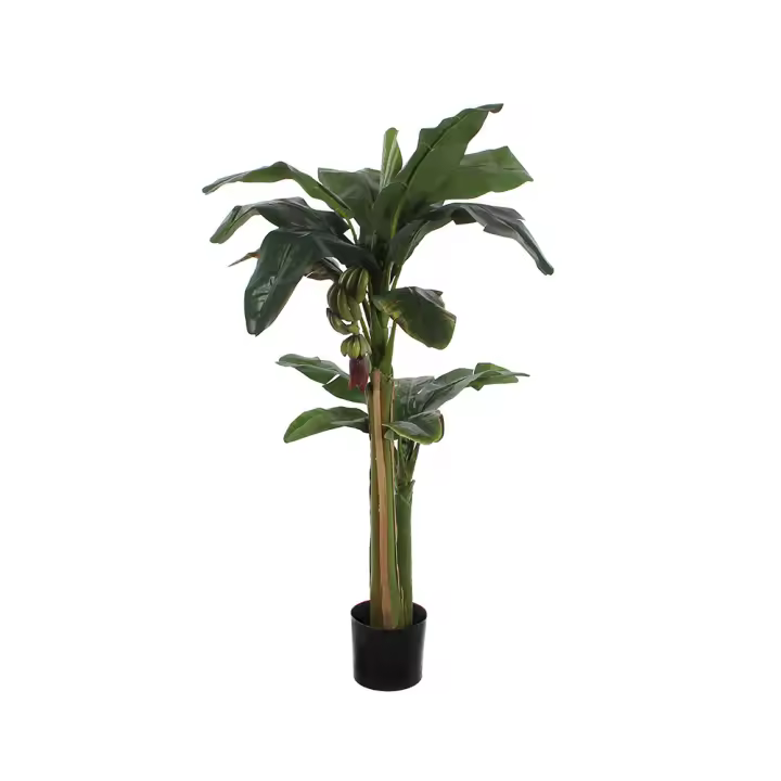 PLANTA ARTIFICIAL BANANERA-MUSA Ã˜115x1800cm - 1