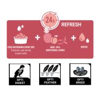 Versele-Laga Nutribird C19 Original 3 Kg para Canarios y Exóticos - Alimento de mantenimiento para canarios, fringílidos exóticos y europeos - Pienso para Canarios - Versele Laga - details 0