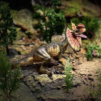 Juguete De Dinosaurio Dilophosaurus Con Bocaza Movable Figuras De Animales En Plástico Juguetes Para Fiesta Cumpleaños Regalos - details 3