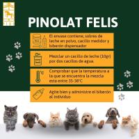 PINOLAT leche en polvo para gatos de Laboratorios Pino. Paquete de 4 sobres x 20 gr + biberón + cacillo medidor - details 1
