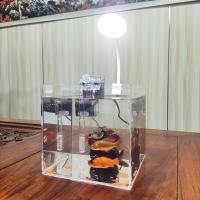 Acuario Ecológico De Acrílico Transparente Para Escritorio De Oficina Pequeño Tanque De Agua Con Hierba Para Camarones Y Tortugas - details 4
