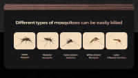 Matriculador Eléctrico Silencioso De Mosquitos Con Shock USB Para El Hogar Y Exterior Killer De Mosquitos Electrónico Ultra-quieto - details 10