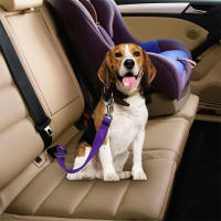 Cinturón de Seguridad para perro o gato Ancho 2.5 cm Azul y Negro, Longitud 45-75cm - ¡Protección Confiable para tus Mascotas! - details 1