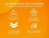 COLÁGENO HIDROLIZADO LIMÓN 400G - Fullgas  Con vit C, magnesio, ácido hialurónico  Piel, pelo, articulaciones - details 2