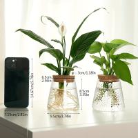 Estación De Cría De Plantas En Vaso De Vidrio 1pc Soporte Para Flores Y Vaso De Cultivo Ecológico Para Escritorio Decoración De Oficina Y Hogar - details 2