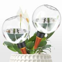 Sistema De Riego Automático 2/4Pcs 500ML Bolas De Riego Self-Watering Para Plantas De Jardín Y Flores Dispositivos De Bolas De Riego - details 1