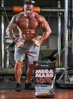 Mega Mass 4000 4Kg Weider + Creatina king 200g - details 1