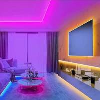 Luces Neón RGB FLEXIBLE Y Impermeables Para Decoración Interior De Hogar LED Para Dormitorio Cocina DC Certificación CE ROHS - details 3
