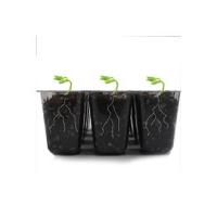 5 invernaderos con Luz Ultravioleta, Cajas de cultivo de invernadero, semilleros 5 bandejas, 60 compartimentos, mini enrejado, para plantas, con luz UV controlada por temporizador y ventilación cubierta, tipo C hembra - details 2
