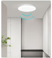 Lámpara De Techo LED Con Sensor De Movimiento 8W 16W AC220V Luz Fría Sensor Automático Fotosensible Decoración Para Casa Pasillo Garage - details 10